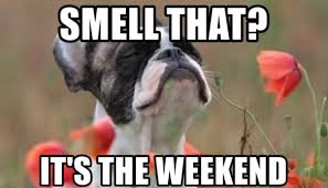 Take the weekend off from your job search